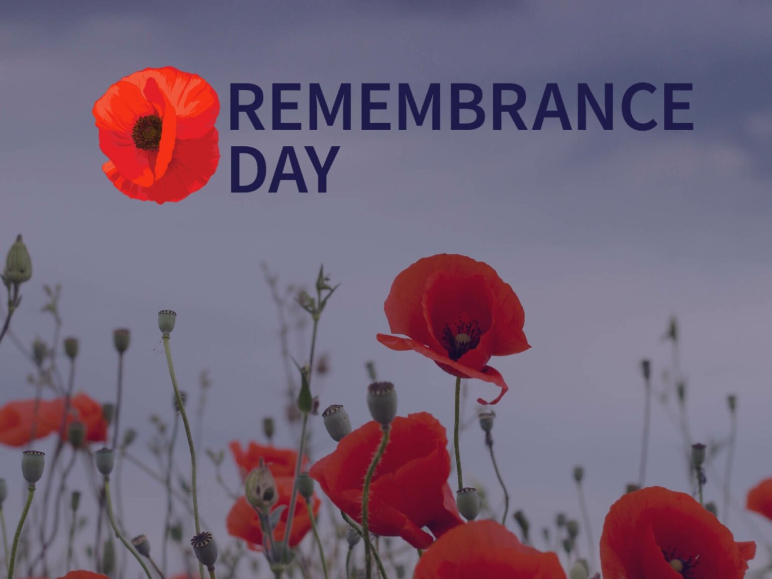 Remembrance Day Commemoration 2021 B'nai Brith Canada